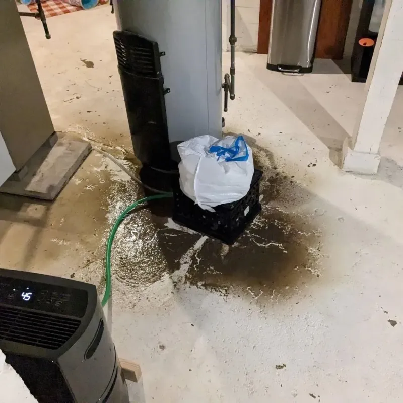 Sewage Backup Cleanup Service in Cuthbert, GA